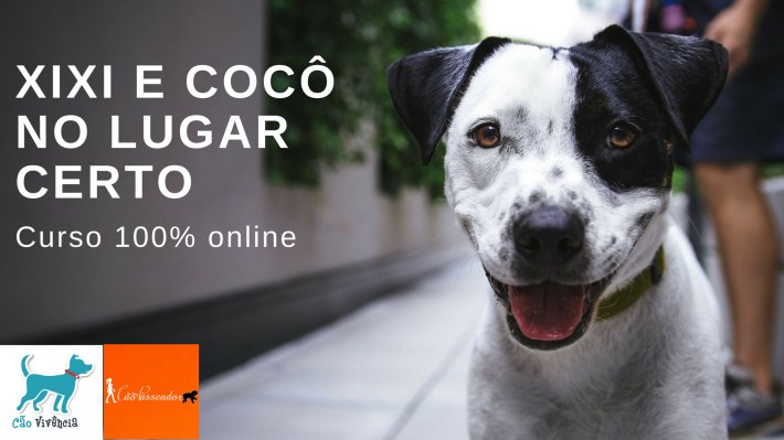 Capa face Curso Xixi 1