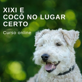 Insta curso xixi 2