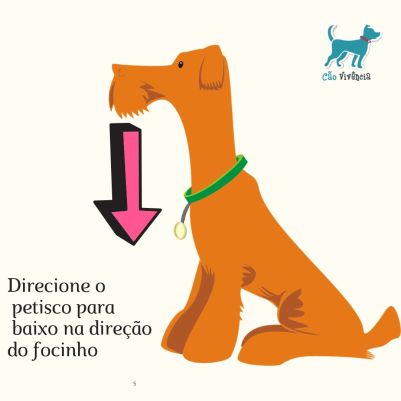 Direcione o petisco para baixo