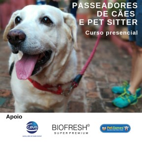 passeadores de cães insta (3)