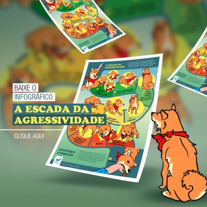 WhatsApp Image 2019-10-07 at 12.00.08